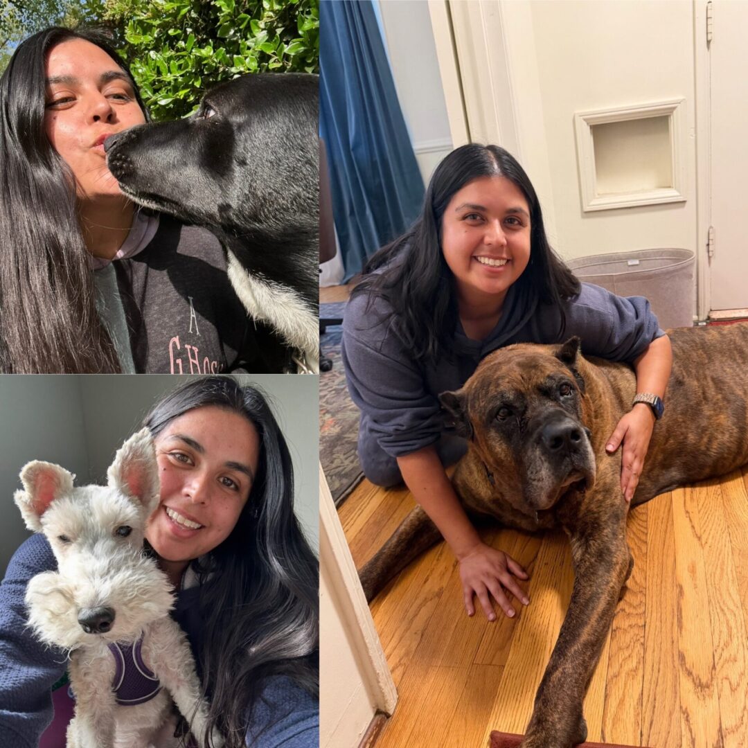 Woman posing with three different dogs in various settings.