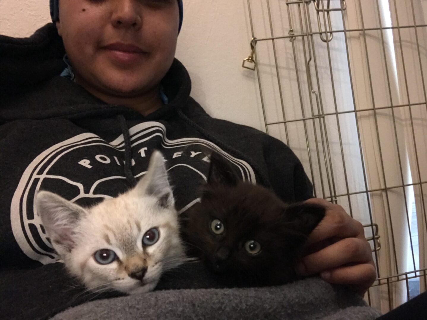 Person holding two small kittens, one white and one black.